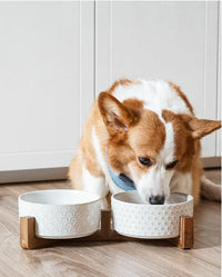 LE TAUCI Dog Bowl Set with Acacia Wood Stand - Fireworks+Clover / L-5 Cup - image 3