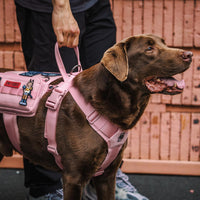 OneTigris Service Dog Vest Harness - M / Pink - image 3