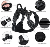 Taglory Light Up Dog Harness, Rechargeable No Pull Dog Vest with 3 Lightning Modes, Reflective Dog Harness with 2 Leash Clips & 4 Adjustable Slide Strips for Large Dogs, Black-Purple, XL