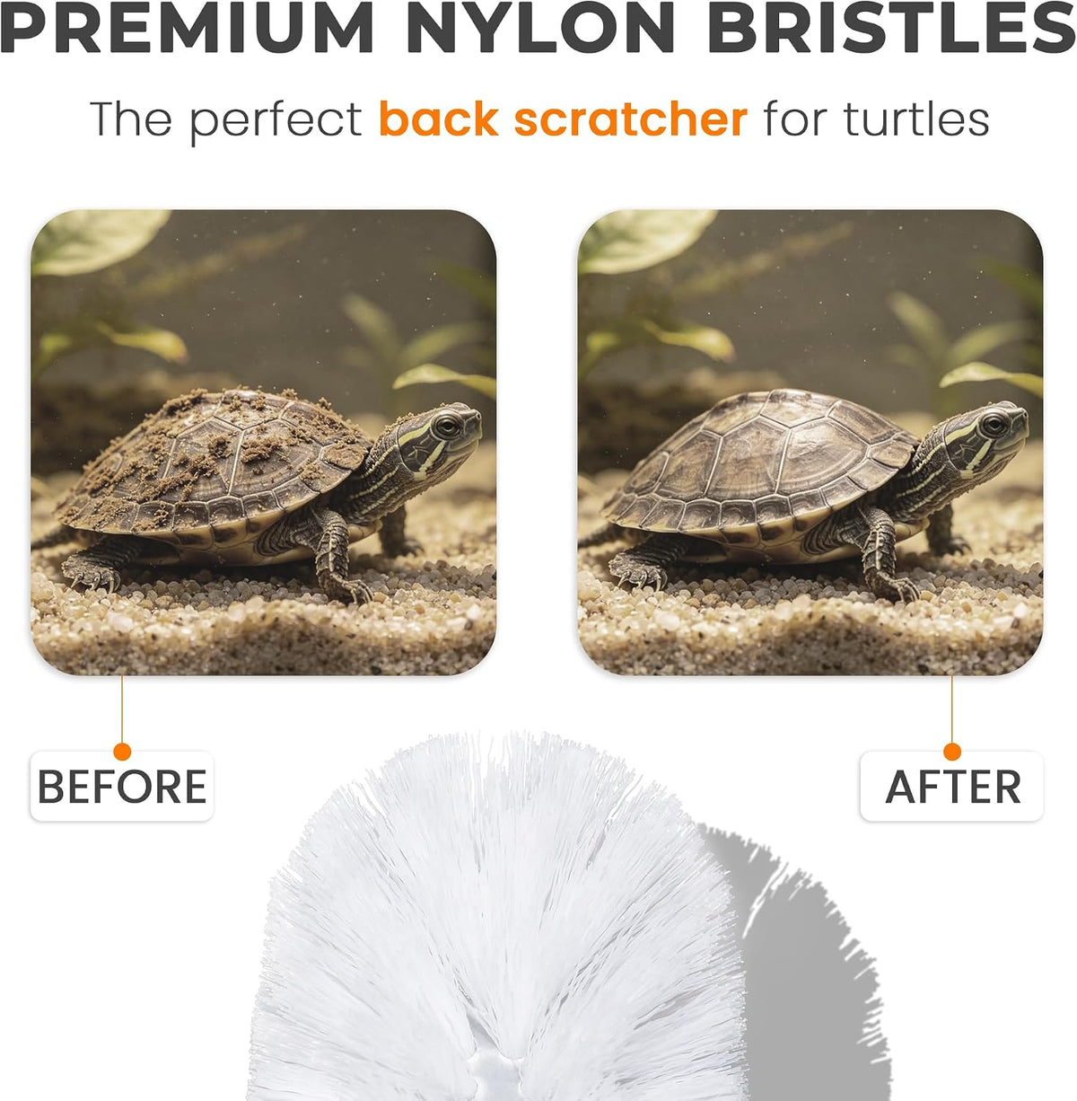 Turtle shell brush with three suction cups mounted inside an aquatic turtle tank - view 4