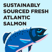 BIXBI Liberty Dry Food Salmon Recipe for Cats, 10lb