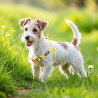 PUPTECK No Pull Dog Harness Soft Adjustable Basic Nylon Step in Puppy Vest Outdoor Walking with ID Tag, Yellow Bee, S