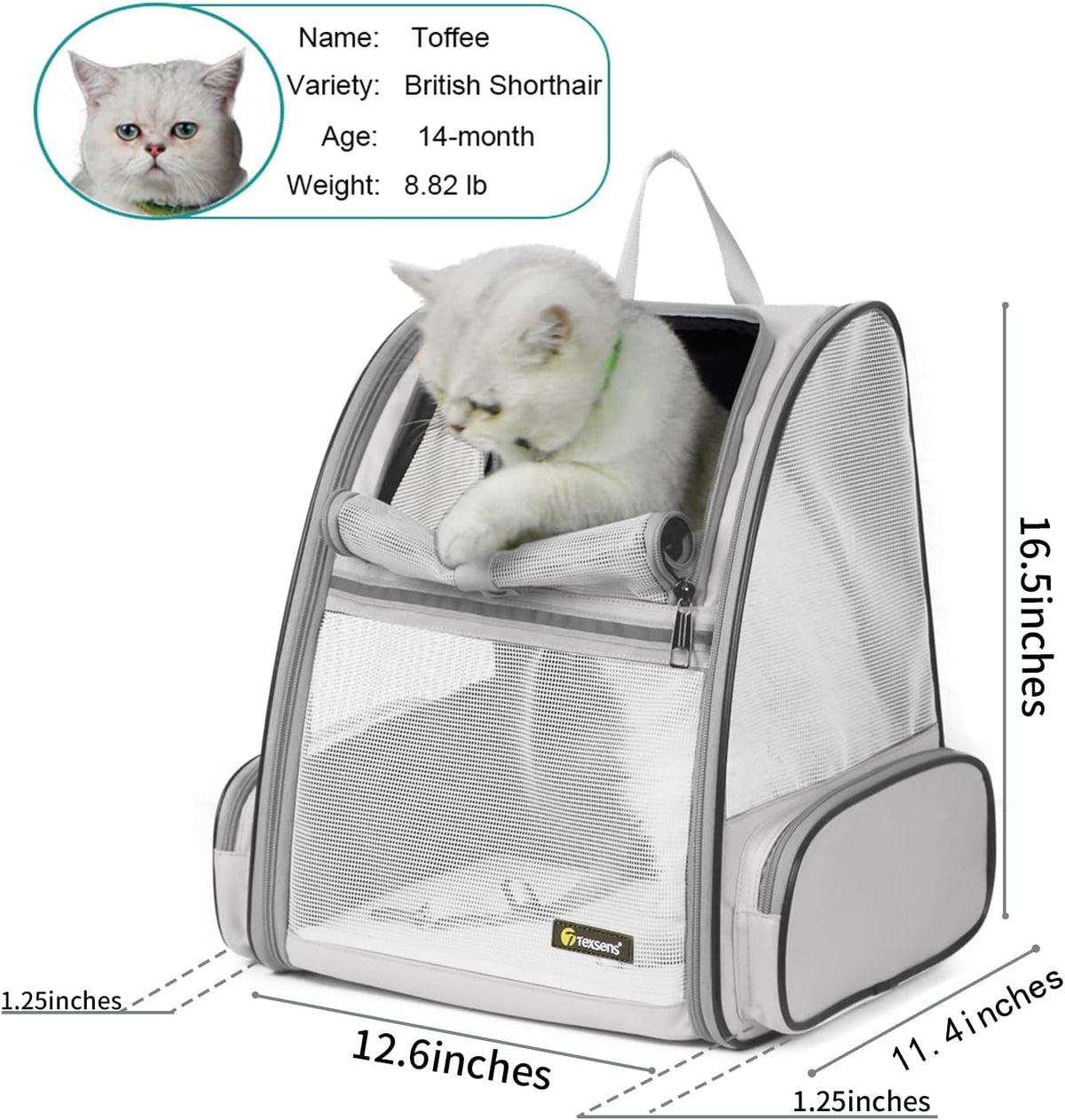 Texsens Innovative Traveler Bubble Backpack Pet Carriers for Cats - Light Grey - image 2