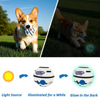 Dog Toys Ball, Interactive, M - Classic / Glow S 3.14 in (8 cm) - image 3