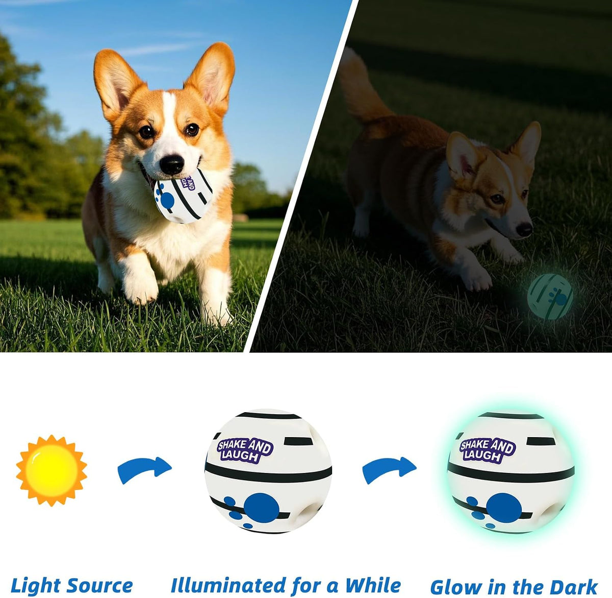 Dog Toys Ball, Interactive, M - Classic / Glow S 3.14 in (8 cm) - image 3