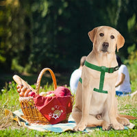 PUPTECK No Pull Dog Harness Soft Adjustable Basic Nylon Step in Puppy Vest Outdoor Walking with ID Tag, Blackish Green, L