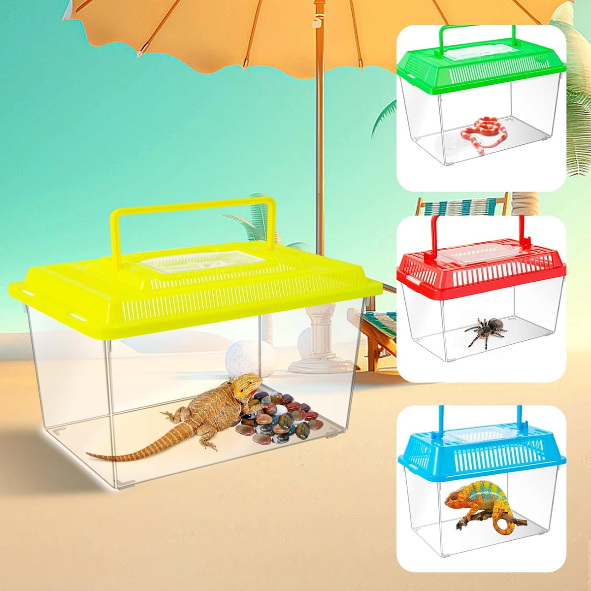 12Pcs Plastic Reptile Terrariums Carrier Cage - XL - image 3