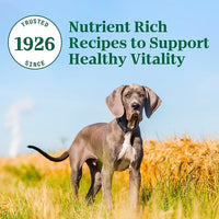 Nutro Natural Choice Large Breed Puppy Dry Dog Food, Lamb and Brown Rice Recipe, 30 lbs.