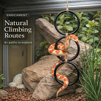 2PCS Snake Climbing Rings for Ball Python - image 2