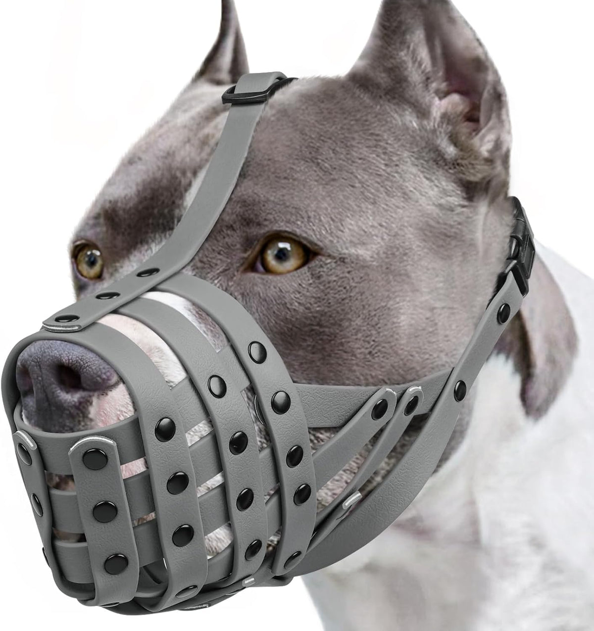 Pitbull Dog Muzzle for Large Medium Dogs Prevent Biting Scavenging – Essentials for Dogs - Grey / L [Snout Cir: 11.5"-13"]