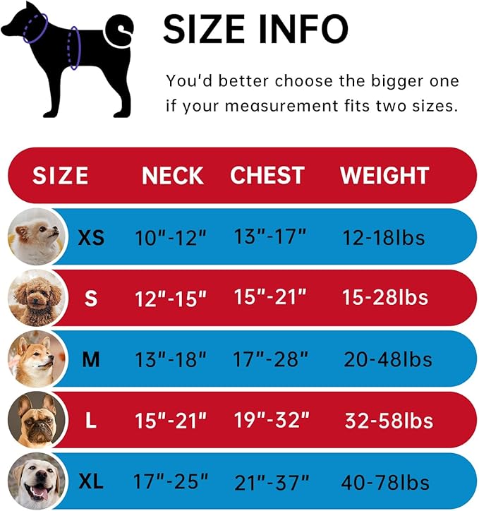 IVY&LANE No Pull Dog Harness with Leash Set, Reflective No Choke Pet Vest,Adjustable Oxford Dog Vest Harness with Easy Control Handle for Small Dogs (Checkered Red,S)