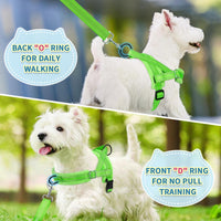 SlowTon No Pull Small Dog Harness and Leash Set with Front Clip – Essentials for Dogs - X-Small / Green - image 4
