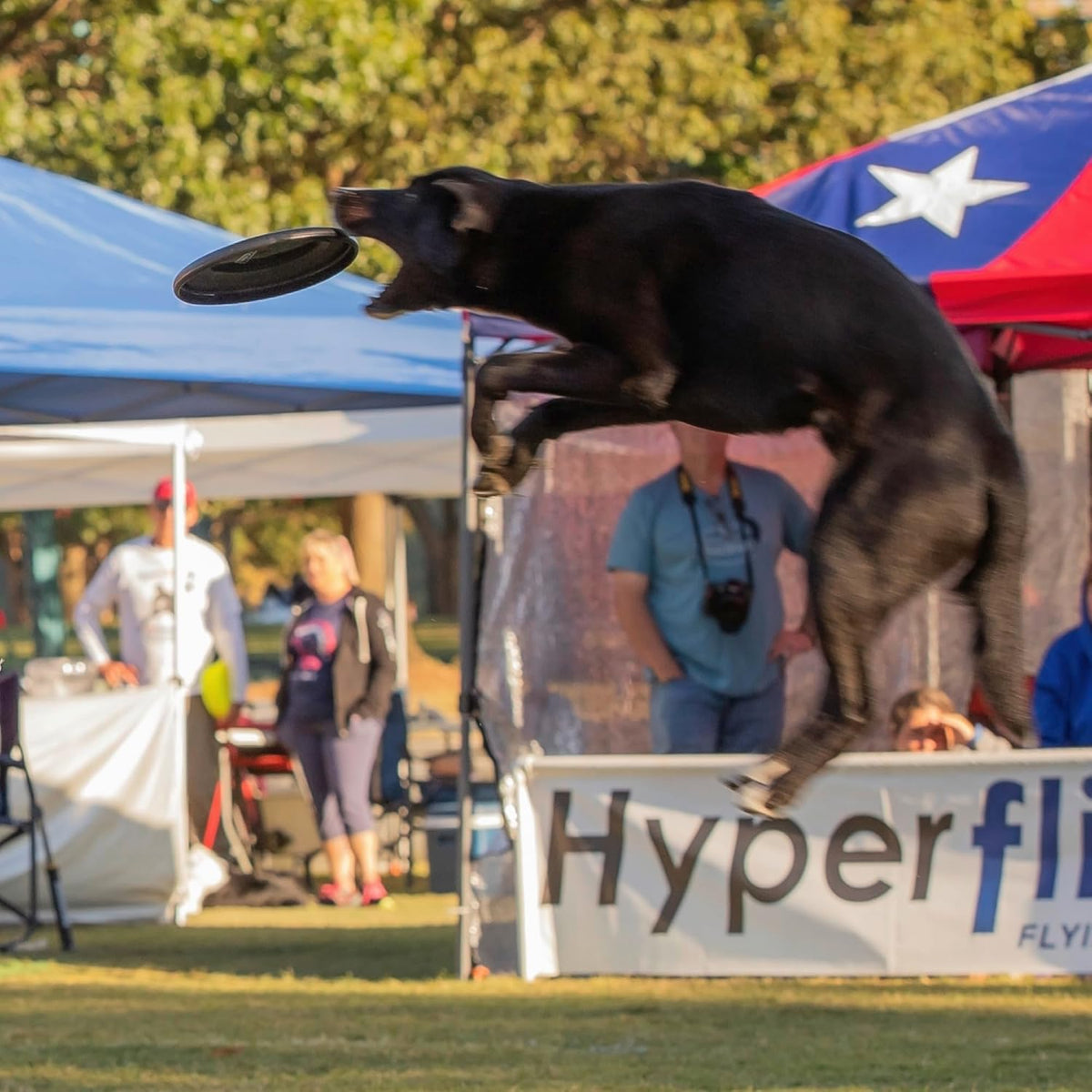 Hyperflite K-10 Jawz Puncture Resistant Dog Flying Disc - Black - image 4