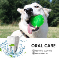 Squeaky Balls for Pet Small Puppy - Small Set of 3 / Multi - image 4