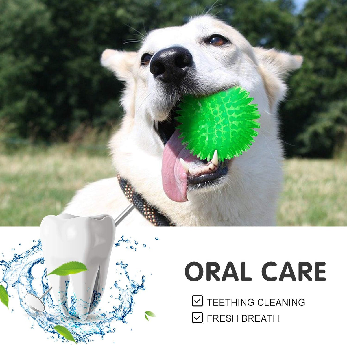 Squeaky Balls for Pet Small Puppy - Small Set of 3 / Multi - image 4