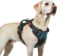 rabbitgoo Dog Harness for Large - Blue Coral / Large