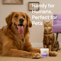 HICC PET Teeth Cleaning Wipes for Dogs & Cats, Vet-Recommended Remove Bad Breath & Plaque & Tartar Buildup Dog Finger Toothbrush Wipes, Dog Tooth Brushing Kit Remove Stain & Gum Care for Small Animal
