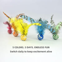 Feather Chase & Fetch Balls for Indoor Cats - image 4
