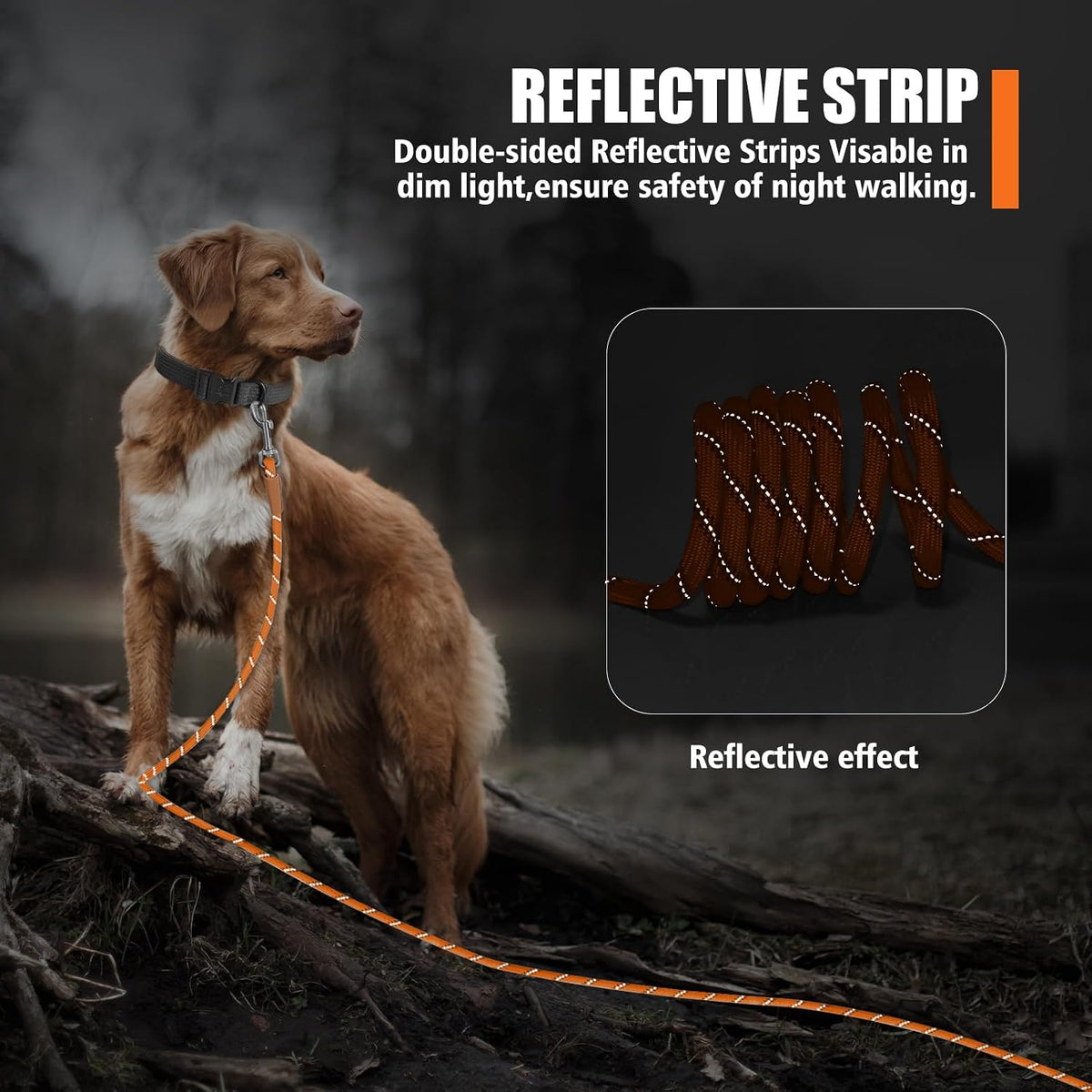 Long Dog Leash Reflective Rope Training Lead 15ft 30ft 50ft Check Cord – Essentials for Dogs - Orange / 50ft x 3/8inch - image 4