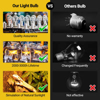 REPTI ZOO 2 Pack Heat Lamp 100W - Natural Basking Light Bulb - image 4