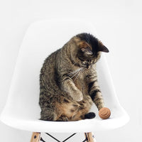 Cat Ball Toys by Americat – Made in USA – Safe Cardboard Cat Toys – for Interactive and Independent Play, Exercise & Stress Relief for All Breeds & Ages (Variety Pack of 3 Balls)