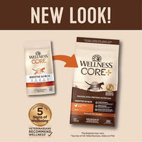 Wellness CORE+ Adult Dry Cat Food for Indoor and Outdoor Cats, Wholesome Grains, Natural, Digestive Health Chicken & Rice (5 Pound Bag)