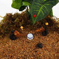 6 Pcs Spider Micro Water Bowl Mini Ceramic Dish for Spider Tarantula - image 3