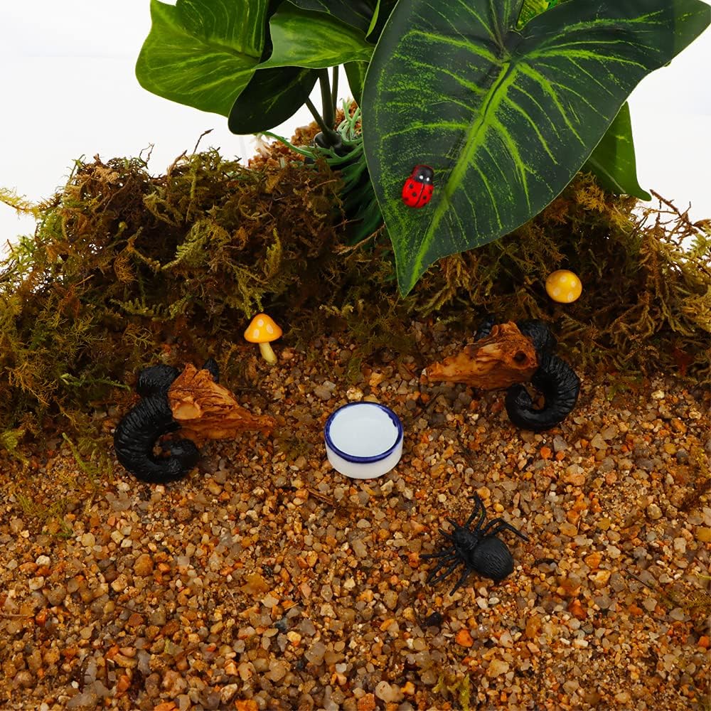 6 Pcs Spider Micro Water Bowl Mini Ceramic Dish for Spider Tarantula - image 3
