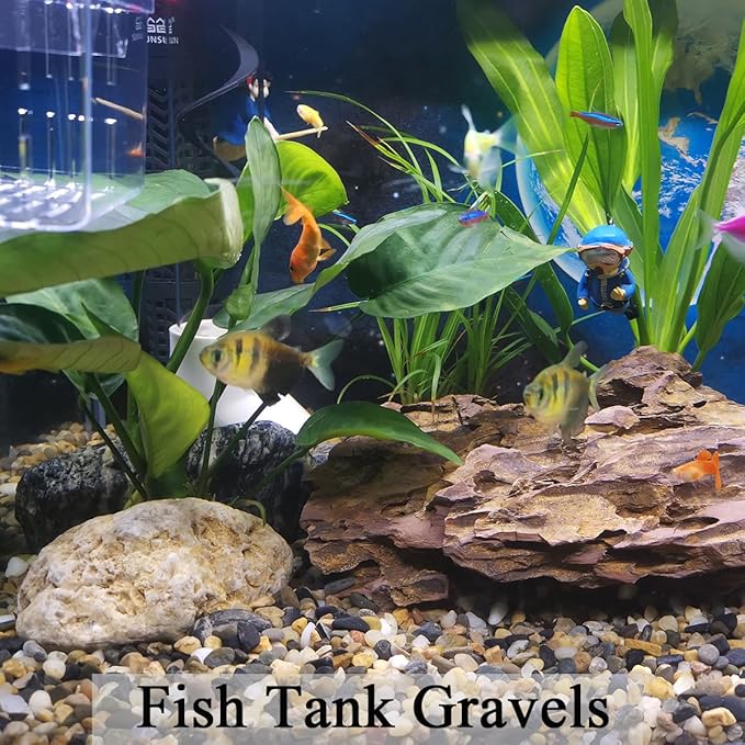 20lbs Natural Fish Tank Gravel,1/4 Inch Pea Gravel. Mixed Color River Rocks for Aquarium, Succulent, Vase, Cactus Bonsai, Plant Soil Cover and Outdoor Landscaping Rocks
