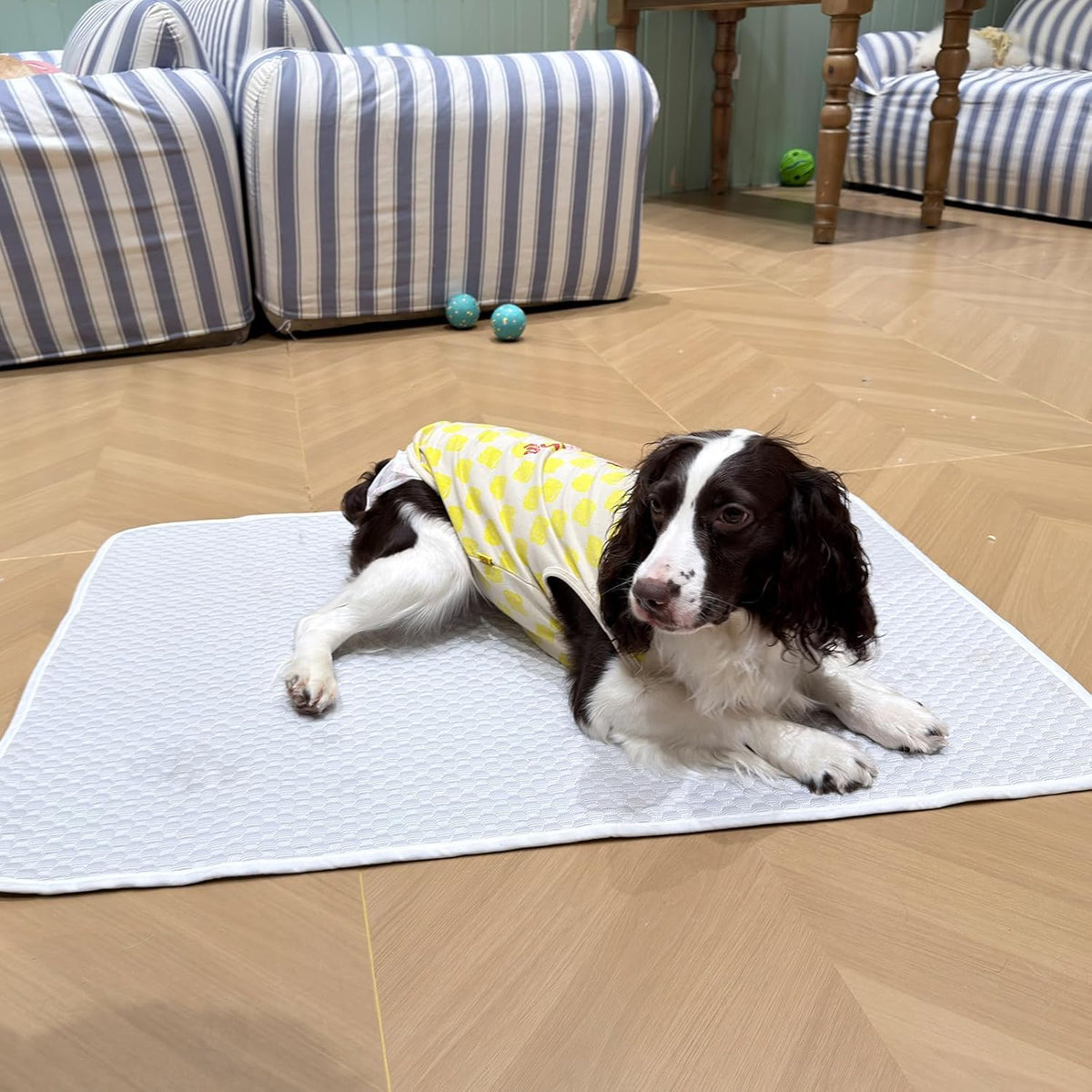Large Dog Cooling Mat 46"x36", Washable Waterproof Non-Slip, L – Essentials for Dogs - Medium 38"x26" - image 4