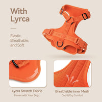 Sunraymascota Dog Harness - L (Neck: 18-31", Chest: 24-37") / Orange - image 3