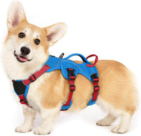 rabbitgoo Escape Proof Dog Harness for Large - Red & Blue / Small