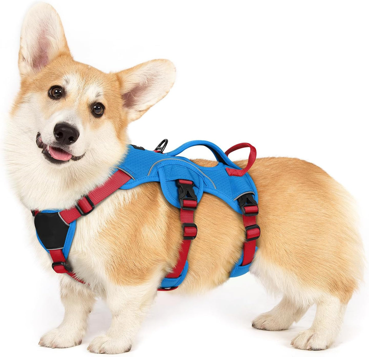 rabbitgoo Escape Proof Dog Harness for Large - Red & Blue / Small