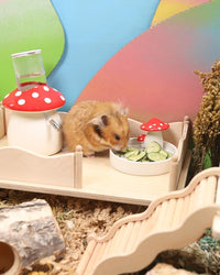Niteangel Hamster Snack & Treats Toy - Small Animal Natural Treat for Dwarf Syrian Robo Hamsters Gerbils Mice Lemmings Degus or Other Small-Sized Pets