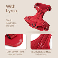 Sunraymascota Dog Harness - S (Neck: 12-22", Chest: 16-25") / Burgundy Red - image 3
