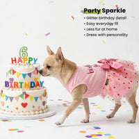 Fitwarm Birthday Girl Dog Tulle Dress - Medium / Birthday Girl - image 3