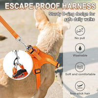 Dog Harness Step in Dog Vest Harness, Reflective Adjustable Puppy No Pull Harness Breathable Soft for Small and Medium Dogs Cats, Orange, XXS