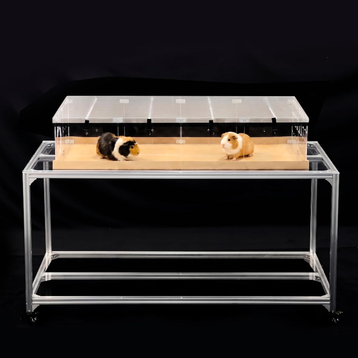 GuineaLoft Model-A Acrylic Guinea Pig Cage - Model-A2