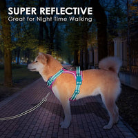 PHOEPET No Pull Dog Harness, Unique Colors Reflective Adjustable Dog Vest, with Soft Training Handle Metal Clips for Small Medium Large Dogs (Pink Base & Green Straps,M)