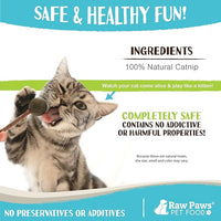Raw Paws Catnip & Silvervine Lollipops Interactive Cat Toy (6 Pack) - Silvervine Sticks for Cats - Catnip Ball Toy - Fresh Cat Nip - Silver Vine Dental Sticks