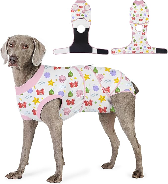 Recovery Suit for Dogs After Surgery, Professional Dog Surgical Suit for Female Spay, Male Neuter, E-Collar & Cone Alternative Dog Onesie for Abdominal Wounds Skin Disease, Jellyfish, XS
