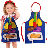 Boczif 3D anatomy apron for kids with removable stuffed organs on a labeled apron