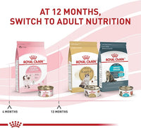 Royal Canin Feline Health Nutrition Kitten Thin Slices in Gravy Canned Cat Food, 3 oz can (18-count)