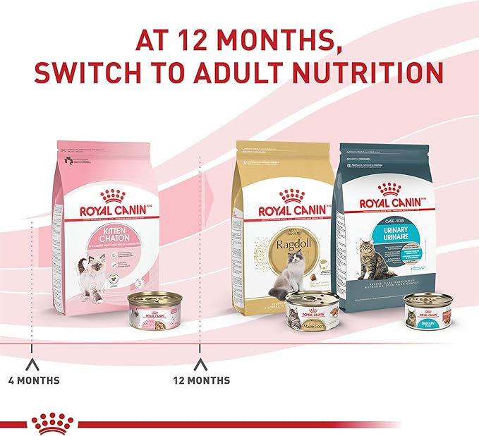 Royal Canin Feline Health Nutrition Kitten Thin Slices in Gravy Canned Cat Food, 3 oz can (6-pack)
