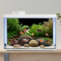 Aquarium Background Aquatic Plant Fish Tank Background Vinyl 30x18 - 24x12in/60x30cm - image 4