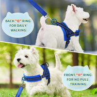 Lukovee Small Dog Harness and Leash Set, No Pull Soft Padded, XS - Blue / S ( Chest 17.5'' ~ 22'') - image 4