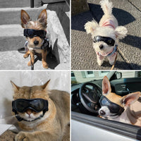 Dog Goggles Small Breed, Dog Sunglasses UV Protection Puppy Eyewear for Small Pet Outdoor Riding - X-Small / Black - image 2