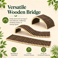 HERCOCCI Crested Gecko Tank Accessories - image 3