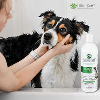 Lillian Ruff Calming Oatmeal Pet Shampoo for Dry Skin & Itch Relief with Aloe & Hydrating Essential Oils - Replenish Moisture & Deodorize - Tearless Dog Shampoo for Normal/Sensitive Skin (16oz)