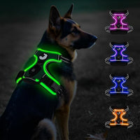 Taglory Light Up Dog Harness, Rechargeable No Pull Dog Vest with 3 Lightning Modes, Reflective Dog Harness with 2 Leash Clips & 4 Adjustable Slide Strips for Large Dogs, Turquoise-Green, XL